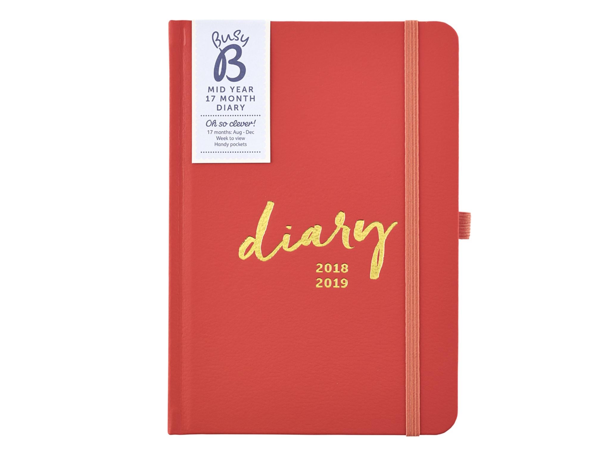 A5 Professional Drivers Diary Two Pages per Day 2019